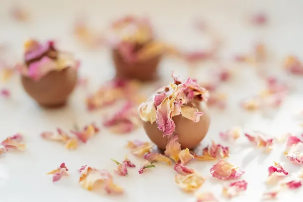 Kazino Palm Slots Android/iOS programa